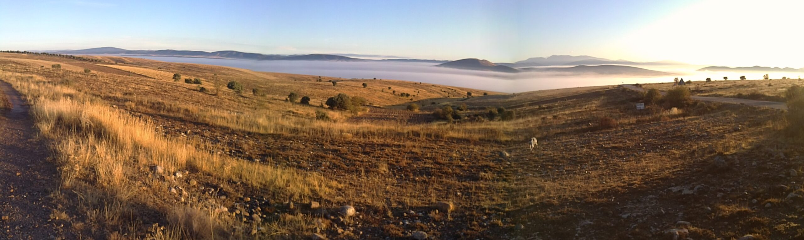 NIEBLA SOBRE EL RITUERTO