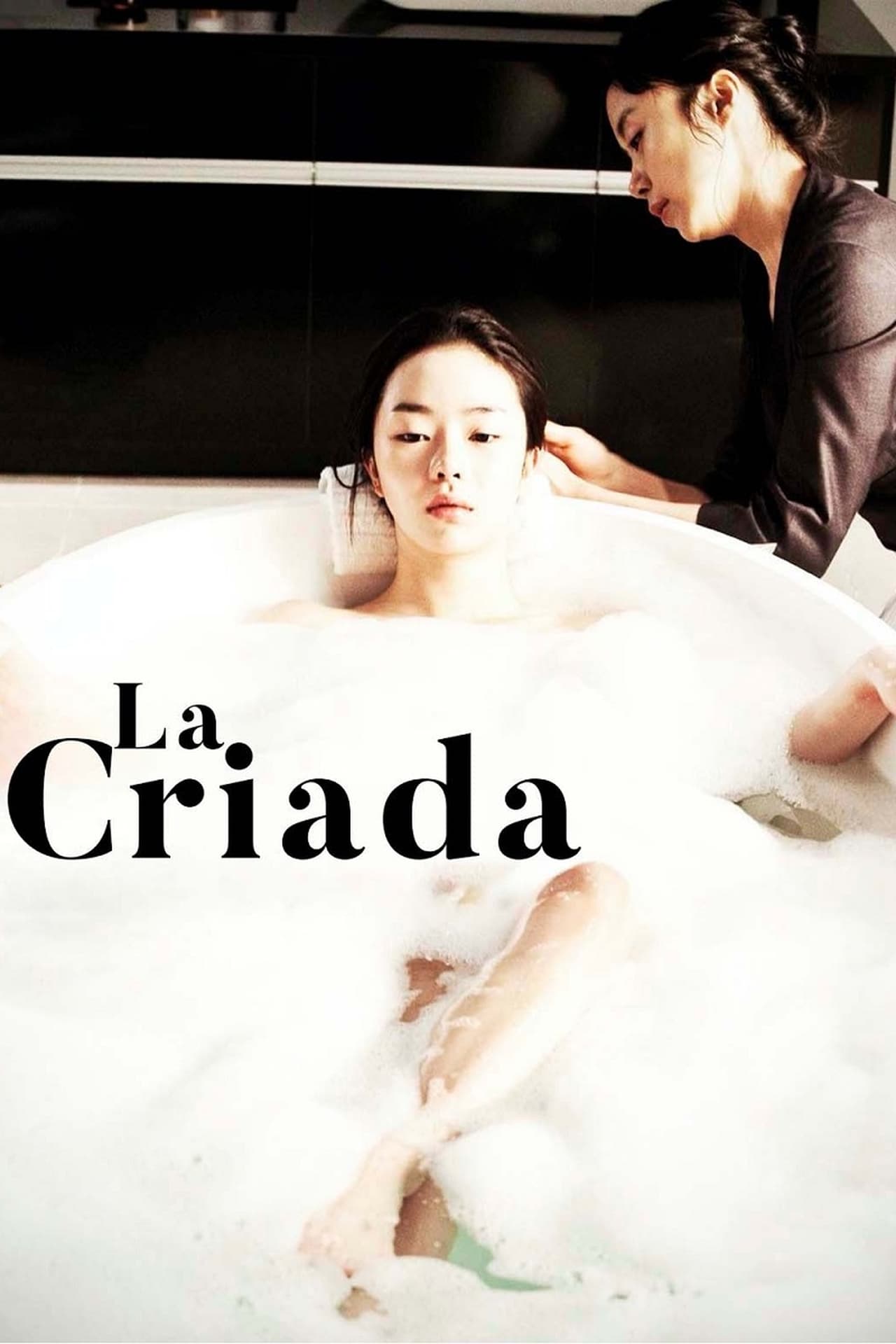 cartel pelicula "La Criada"