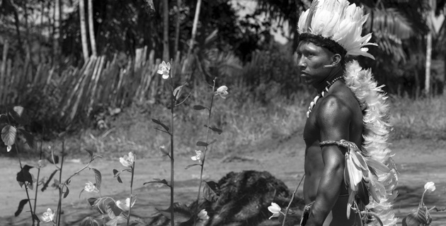 nilibio torres abrazo serpiente 2